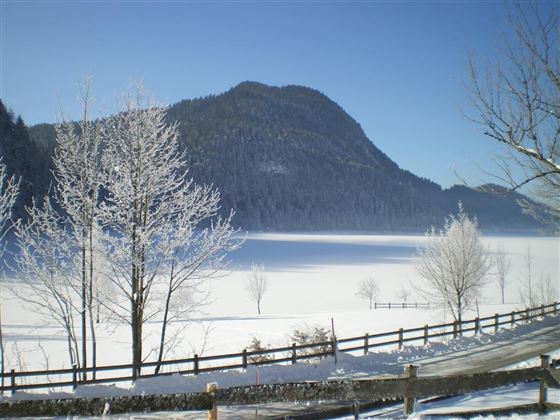 Eine verschneite Landschaft mit gefrorenem See und schneebedeckten Bäumen. Im Hintergrund sind sanfte Hügel unter einem klaren blauen Himmel sichtbar.