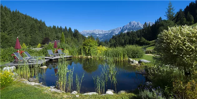 Biotop mit Ausblick