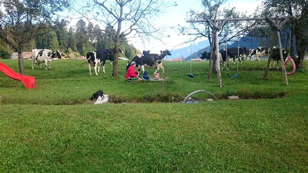 Een idyllisch weiland met grazende koeien en een kind dat op de grond speelt. Op de achtergrond zijn bomen en een glijbaan zichtbaar.