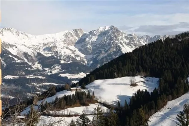 Blick auf Bergdoktorhaus und Wilder Kaiser