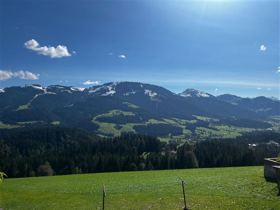 Blick auf den Brandstadl Sommer