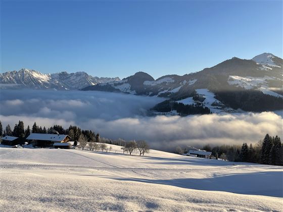 Blick auf den Wilden Kaiser und die Hohe Salve