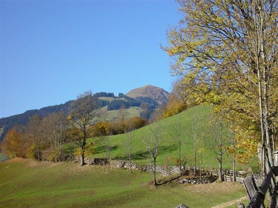 Blick auf die Hohe Salve Sommer