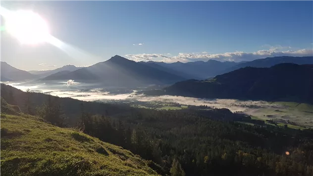 Blick aufs Kitzbüheler Horn von Biedringer Platte