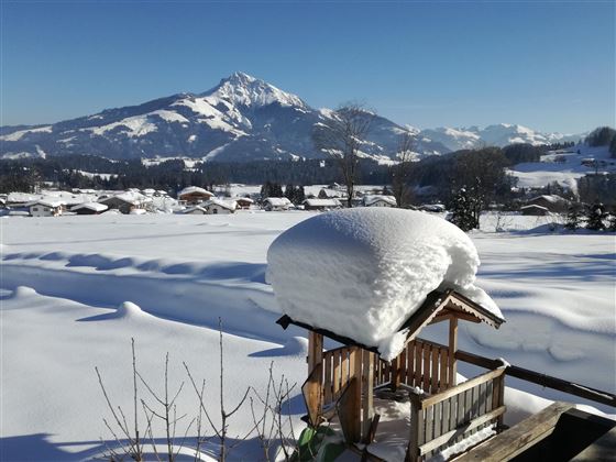 Blick auf´s Kitzbühler Horn