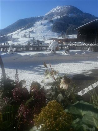 Blick Gaisberg mit Holzschlitten