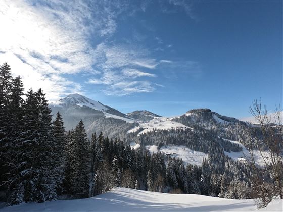 Blick Hohe Salve