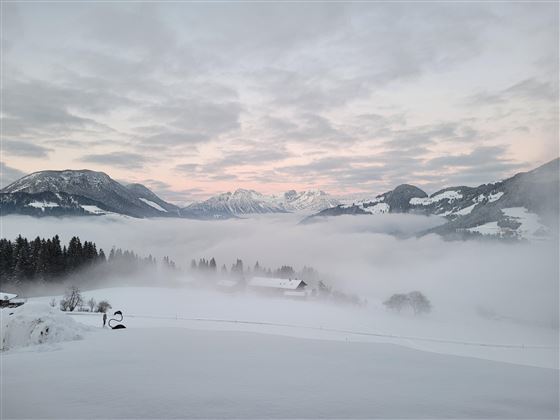 Blick Richtung Wilder Kaiser