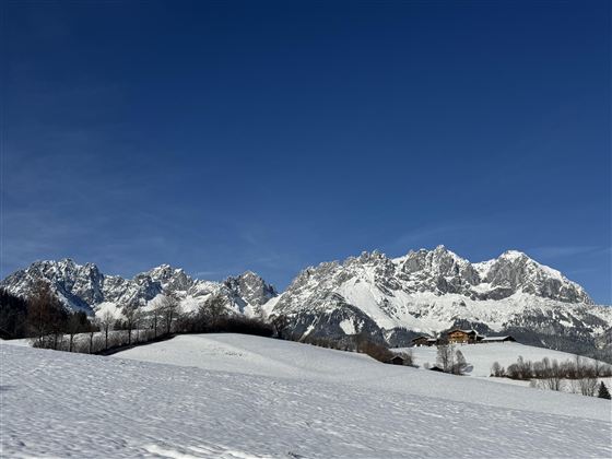 A winter landscape with snow-covered mountains and a blue sky. In the foreground, there are gentle hills and a few trees.