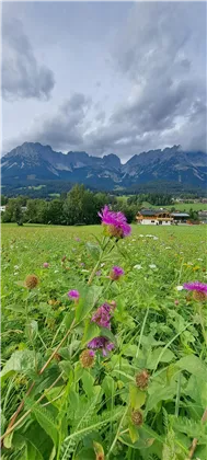 Blick vom Astberglift