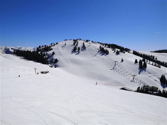 Eine verschneite Berglandschaft unter blauem Himmel. Es gibt Skilifte und sanfte Hänge für Skifahrer.