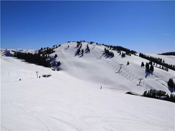 Blick vom Tanzboden auf den Eiberg, Scheffau