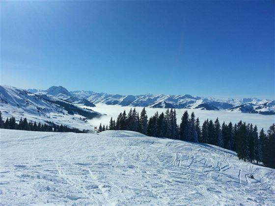 Blick von der Ehrenbachhöhe Richtung Rettenstein