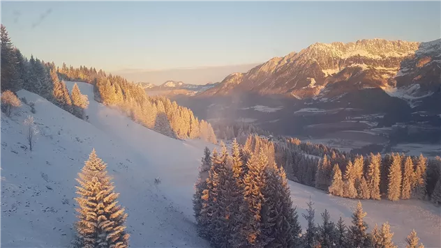 Blick von der Gondel Hartkaiserbahn