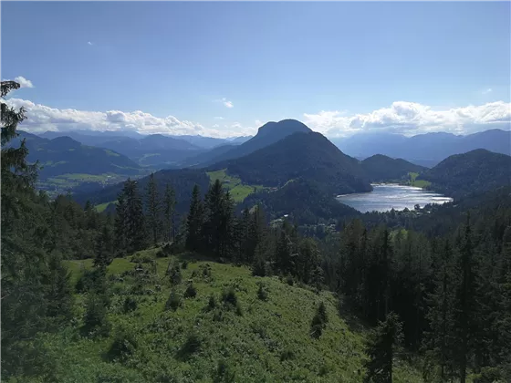 Blick von der Steiner Hochalm