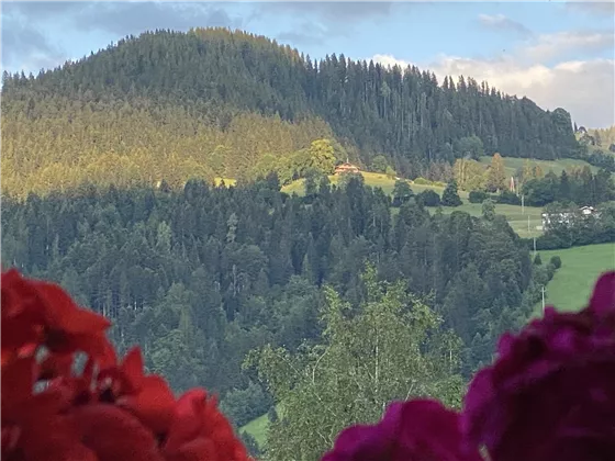 Blick zum Bergdoktorhaus