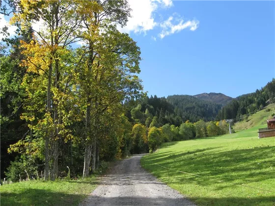 Blick zum Gampenkogel