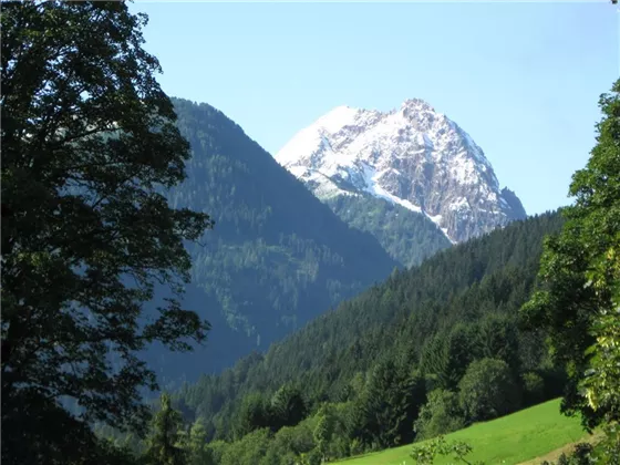 Blick zum großen Rettenstein