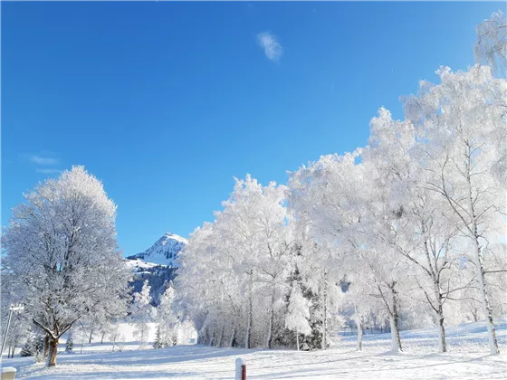 Blick zum Kitzbüheler Horn