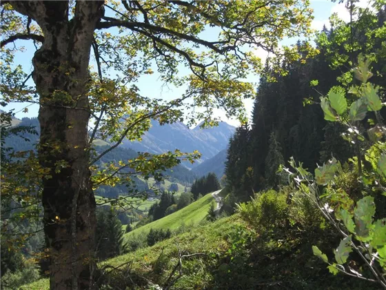 Blick zum kleinen Rettenstein