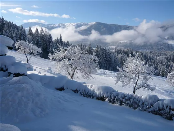 Blick zum Steinbergstein