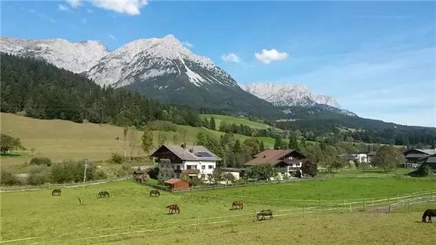 Blick zum Wilden Kaiser