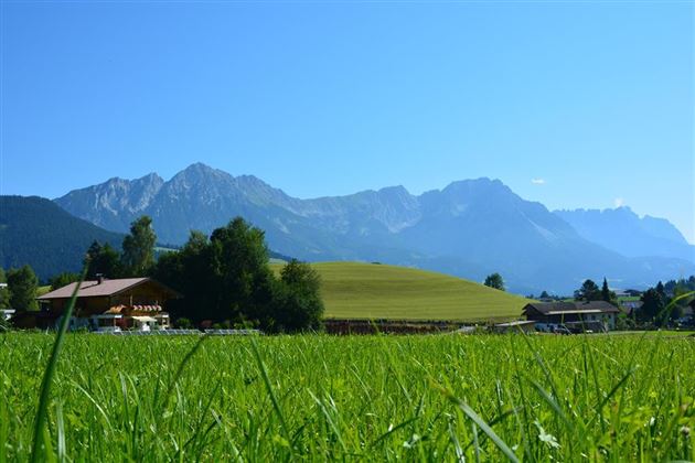 Blick zum Wilder Kaiser