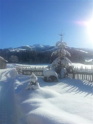 Blick zur Ehrenbachhöhe