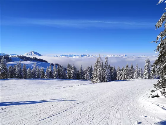 Blick zur hohen Salve nach Söll