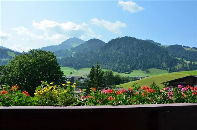 Blumen am Balkon