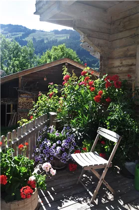 Blumen auf der Terrasse