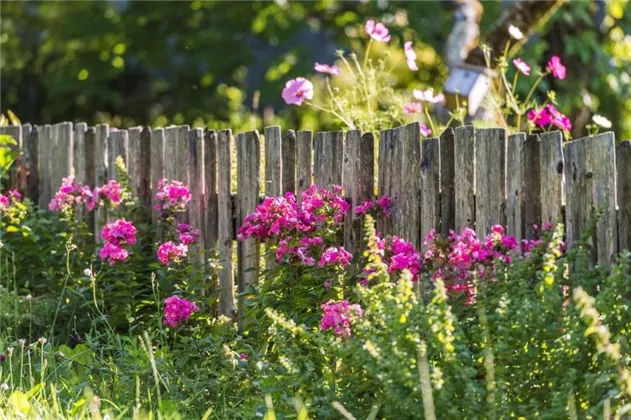 blumen-holzzaun_wilder-kaiser_foto-peter-von-felbe