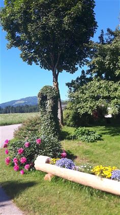 Blumen vor dem WEBERHOF