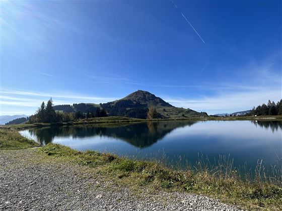 Brandlalmsee