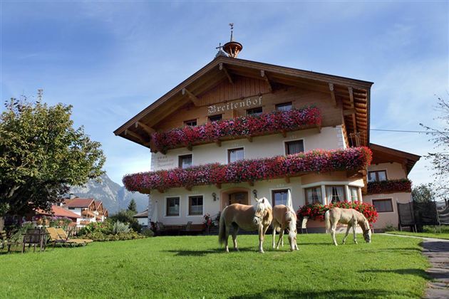 A charming country house with colorful flower balconies and green lawn. Two horses graze peacefully in front of the building.