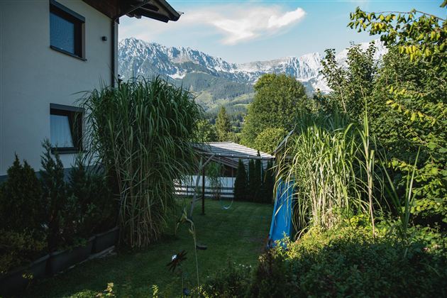 Eine grüne Gartenlandschaft mit hohen Pflanzen und einem Blick auf die Berge im Hintergrund. Der Himmel ist blau mit wenigen Wolken.