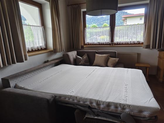 A spacious room with a sofa bed and several cushions. Large windows let in a lot of daylight and offer a view of nature.