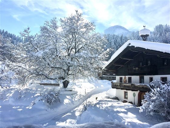 Demeterhof Knolln Winter