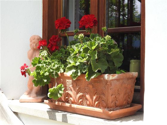 Die kleine Denkerin mit Blumen