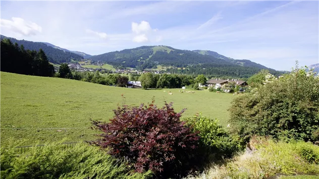 Dorfblick Terrasse