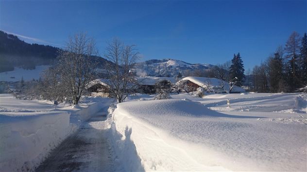 Een besneeuwd landschap met zachte heuvels en bomen. Op de achtergrond zijn bergen onder een heldere blauwe lucht te zien.
