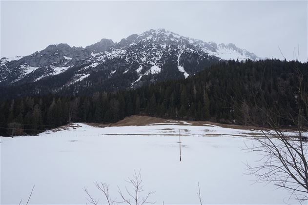 Eine schneebedeckte Landschaft mit Bergen im Hintergrund. Der Himmel ist grau und bewölkt.