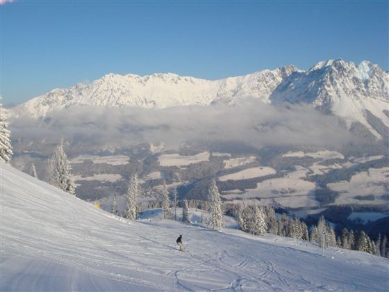 Eine verschneite Berglandschaft mit übersähten Bäumen. Ein Skifahrer fährt die Piste hinunter, während die Berge im Hintergrund majestätisch in den Himmel ragen.
