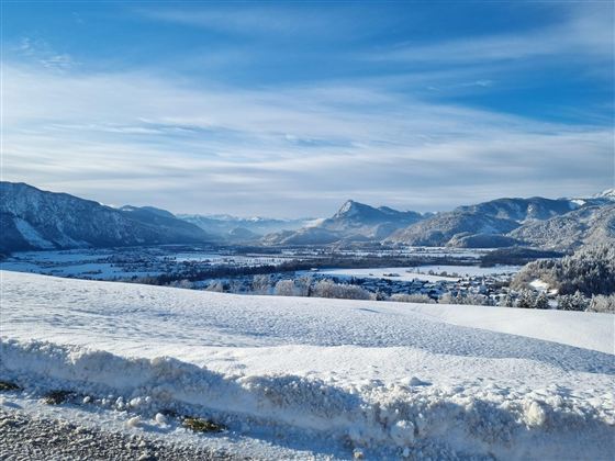 e06f7003-37c6-466e-b3da-1ccf967e8820