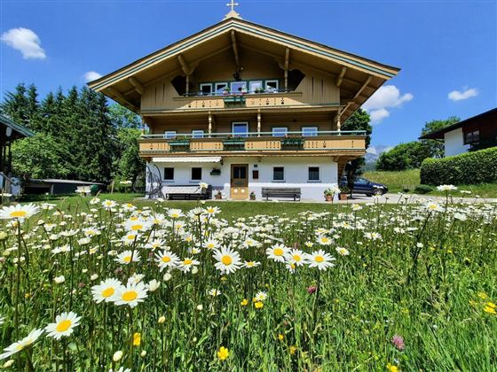 Onze gasten Uta en Uli waren enthousiast over de bloemenweide voor het huis