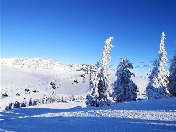 Eine schneebedeckte Berglandschaft mit verschneiten Bäumen und einem klaren blauen Himmel. Im Hintergrund sind Skilifte zu sehen.