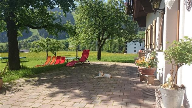 Een zonnige binnenplaats met rode ligstoelen en een liggend katje. Op de achtergrond zijn groene weiden en bomen te zien.