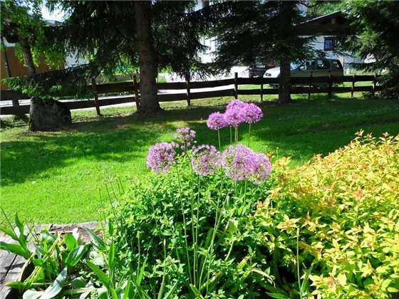 es ist schön im Garten