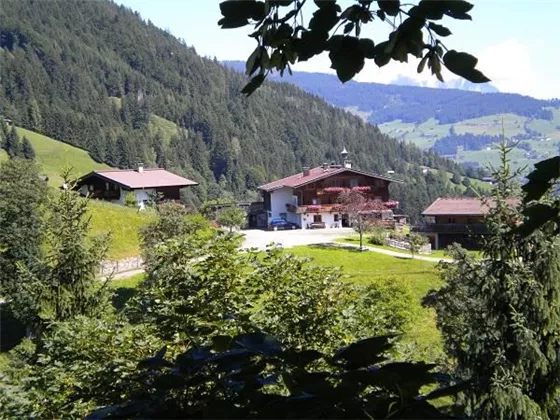 Feldhof_Sommer