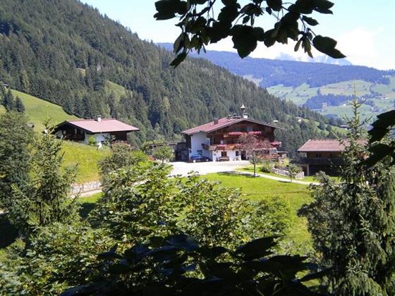 Feldhof_Sommer
